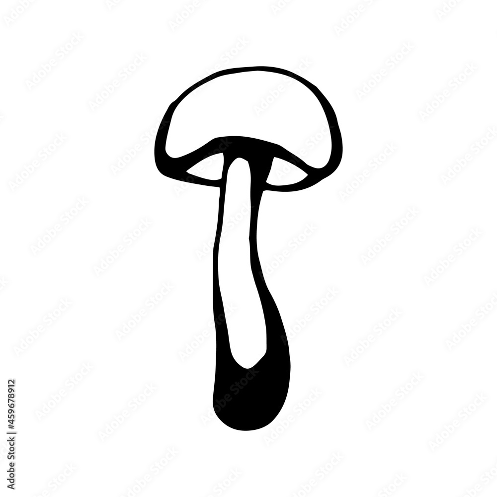 Hand drawn mushroom outline. Line art style isolated on white background. Hand drawn mushroom outline. Line art style isolated on white background.