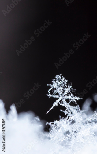 Snowflakes close-up. Macro photo. The concept of winter, cold, beauty of nature. Copy space. 