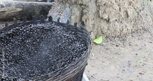 Cocoa beans cooking outside fire village Ghana Africa. Chief agricultural export of Ghana and Ghana's main cash crop. Government control, second largest cocoa exporter. photo