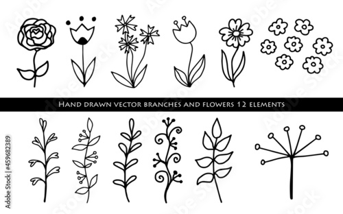 Hand drawn linear leaves, branches. Botanical elements growing plants. Vector illustration