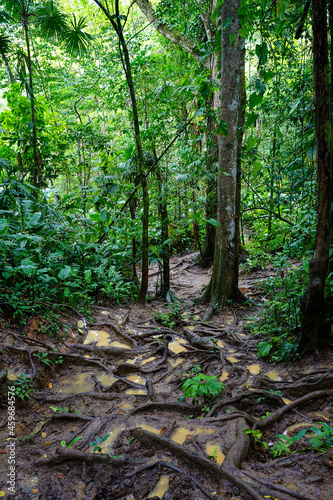 Muddy trail in Costa Rica