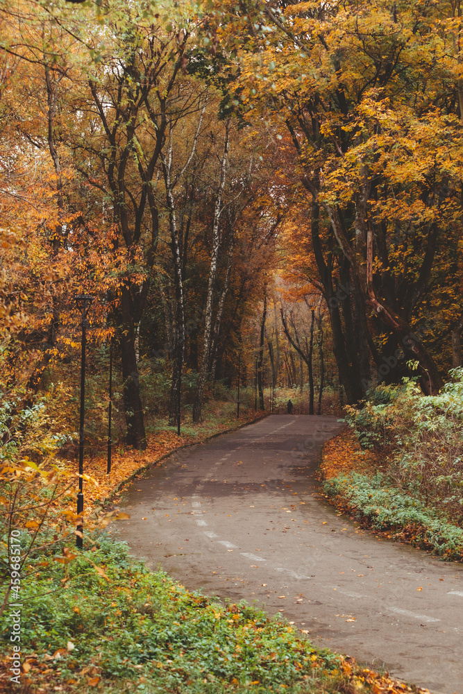 Naklejka premium people walking outdoors by autumn city park