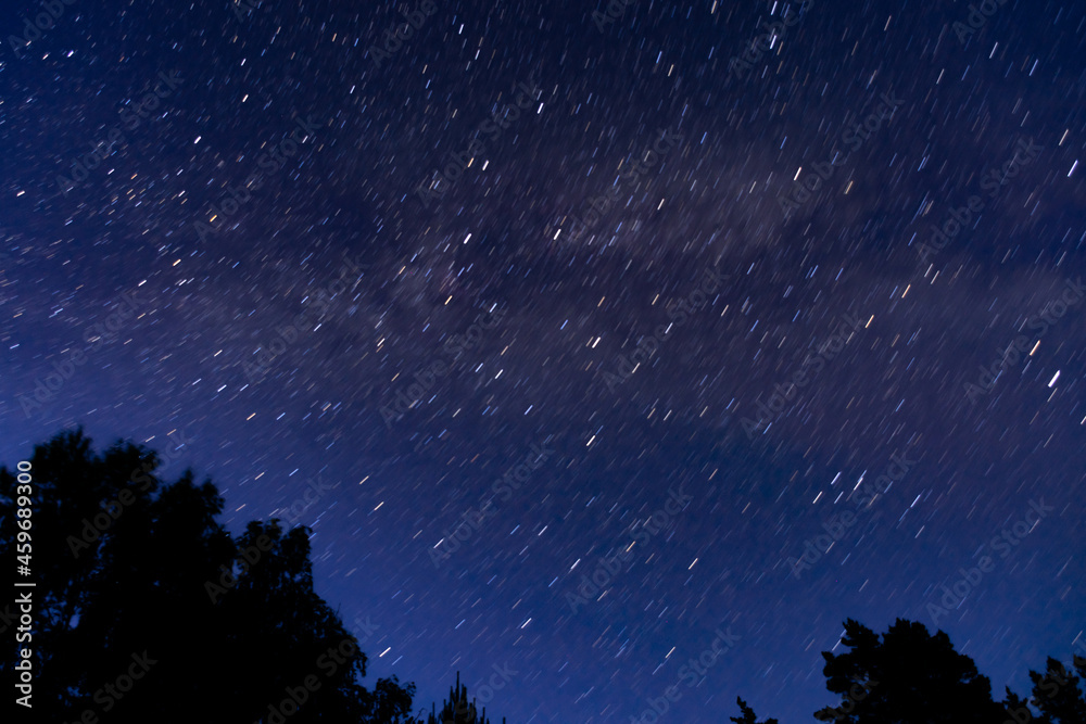 Fototapeta premium starry night sky