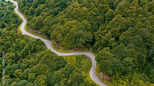 Aerial panorama of country road winding through green forested landscape