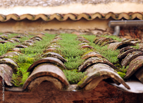 Close Up Of A Roof With Moss On The Tiles In Provence France