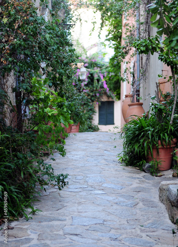 Cozy Narrow Alley Decorated With Plants In Ramatuelle France On A Beautiful Autumn Day