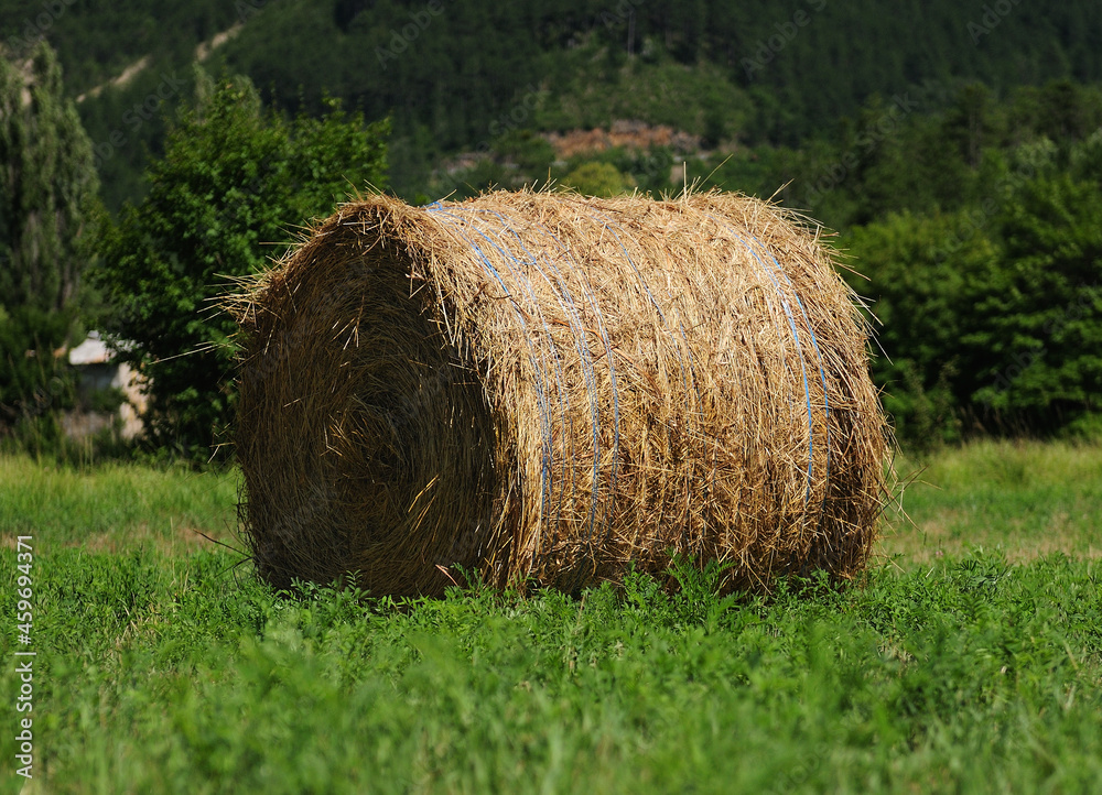 Golden Colored Round Hay Bale In The Fields Near Castellane France On A Beautiful Summer Day Golden Colored Round Hay Bale In The Fields Near Castellane France On A Beautiful Summer Day