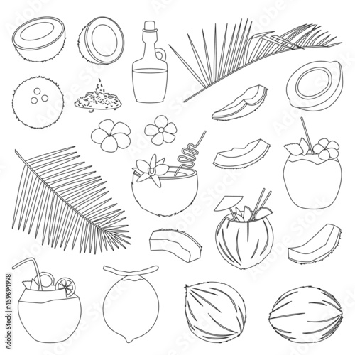 Coconut isolated outline set icon. Vector illustration coco on white background. Vector outline set icon coconut.