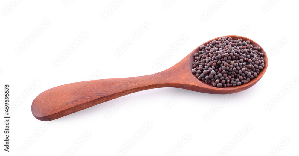 black mustard in a spoon isolated on white background black mustard in a spoon isolated on white background