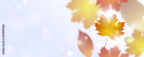 bright autumn fall banner
