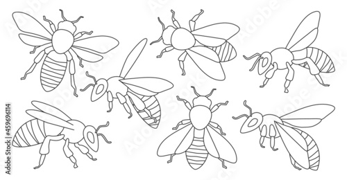 Honey bee isolated outline set icon. Vector illustration animal of honeybee on white background. Vector outline set icon honey bee .