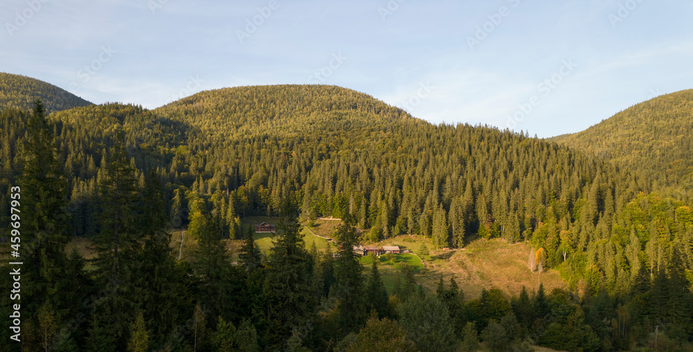 Beautiful view of the colorful mountains covered coniferous forests. Colorful sunset. Ukraine