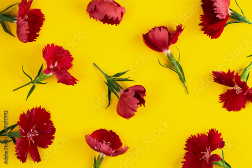 Flowers pattern on yellow of bright red carnations  top view.