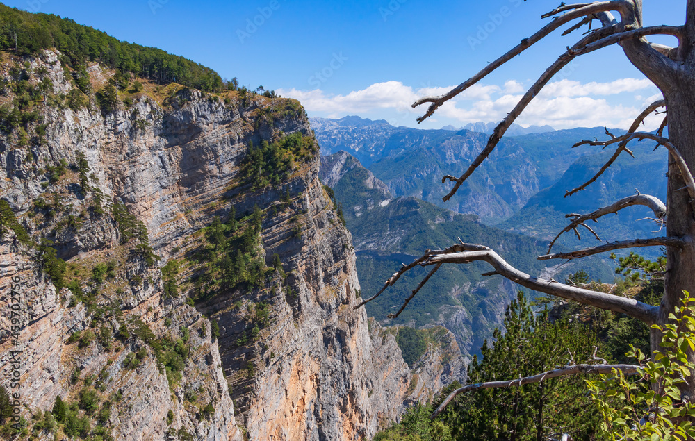 A breathtaking panoramic view of the Grlo Sokolovo gorge in Montenegro. In the foreground is a dry tree and a mountain, the flat side of which forms a cliff, and the ridge is overgrown with trees A breathtaking panoramic view of the Grlo Sokolovo gorge in Montenegro. In the foreground is a dry tree and a mountain, the flat side of which forms a cliff, and the ridge is overgrown with trees