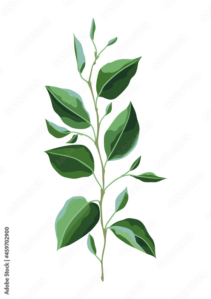 Illustration of branch and green leaves. Spring or summer stylized foliage.