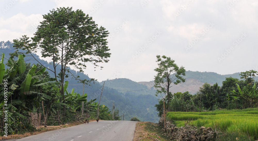 Mountain road in Sapa, Vietnam