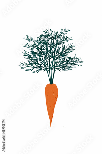 Carrots with green leaves and tops in a flat style. Vector illustration on a white background. The icon is isolated.