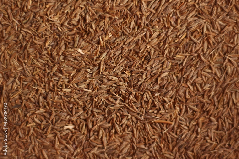 Close up of seeds