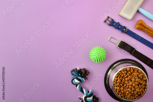 Food and accessories for the dog on lilac table background