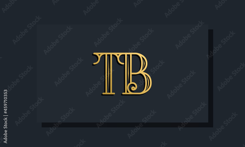 Minimal Inline style Initial TB logo.