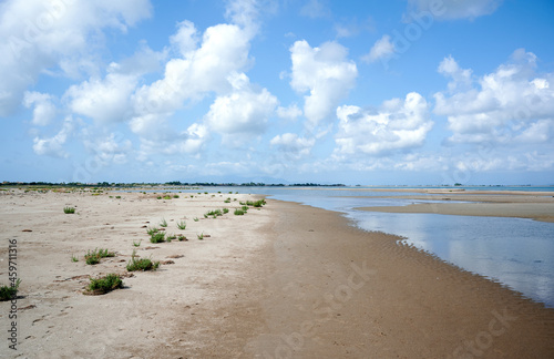 Natural and wild beach of the Ebro Delta  Spain