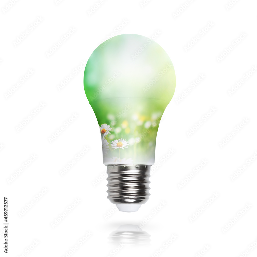 Renewable energy, sustainability, ecology concept. Light bulb made of green plants isolated over white background Renewable energy, sustainability, ecology concept. Light bulb made of green plants isolated over white background
