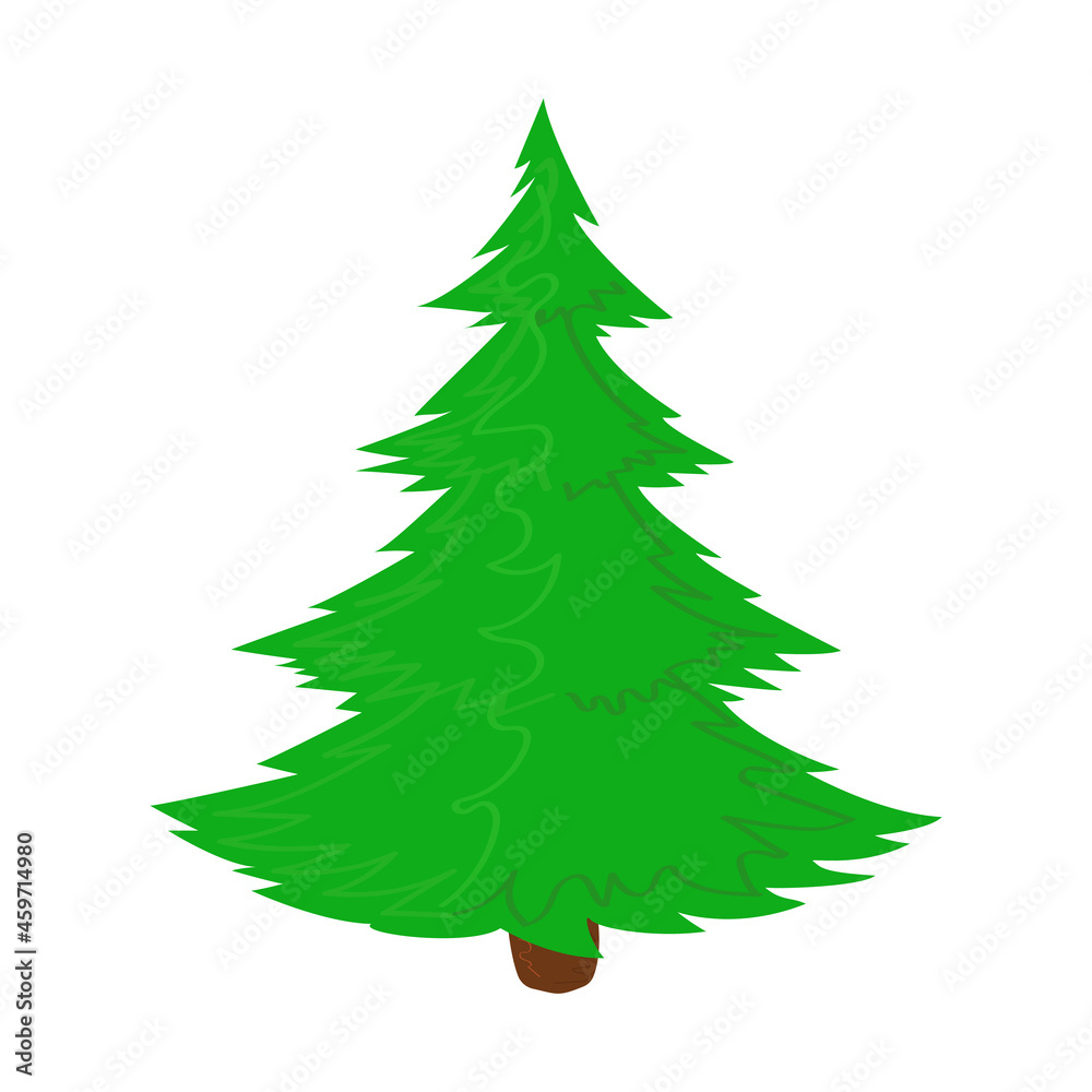 Christmas tree, isolated on a white background, fir,  spruce, pine