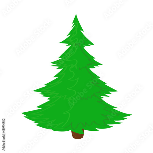 Christmas tree, isolated on a white background, fir, spruce, pine