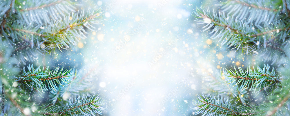 Christmas and New Year holidays card. Winter background with copy space. Branch of fir tree and snow