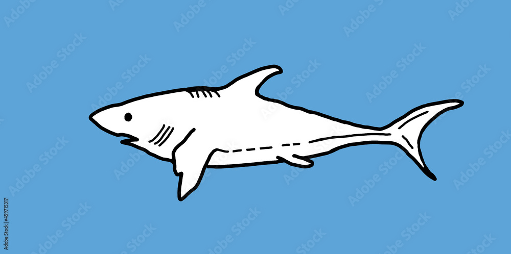 predatory fish, applique of painted fish. children's coloring pages predatory fish, applique of painted fish. children's coloring pages