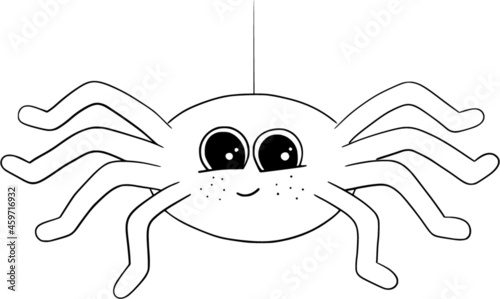 süße Spinne im Spinnennetz