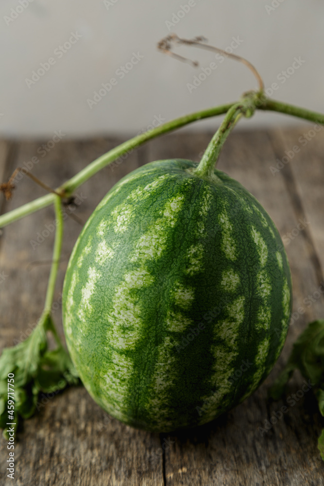 Waterelon, honey watermelon on wooden table background. Waterelon, honey watermelon on wooden table background.