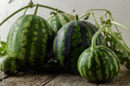 Waterelon, honey watermelon on wooden table background. photo