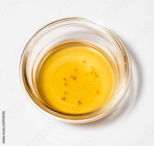 Obraz na plátne Home remedy for catching fruit flies and small insects with glass bowl of cider