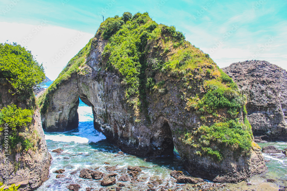 Obraz premium Pilolcura