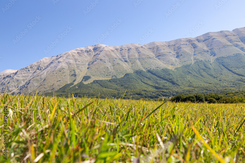 Fototapeta premium Passo San Leonardo in Abruzzo