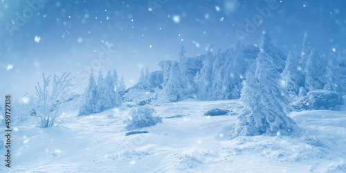 Verschneiter Kalter Winterwald mit Schneflocken im Vordergrund