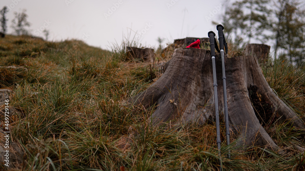 Fototapeta premium Ascent into the mountains, nordic walking sticks and a backpack, a traveler's set. Wonderful sunset in the background