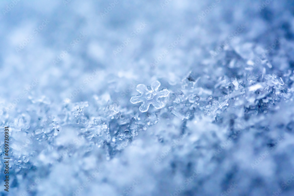 Extreme macro photo of a snowflake. Natural snow texture. Macro texture of snow, snowflakes. Extreme macro photo of a snowflake. Natural snow texture. Macro texture of snow, snowflakes.