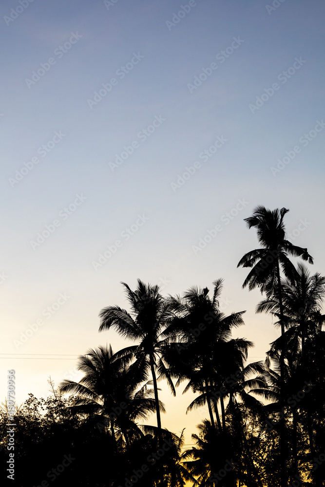 Sunset with sand suspended in the atmosphere, coluring the sky red, over some trees silhouettes