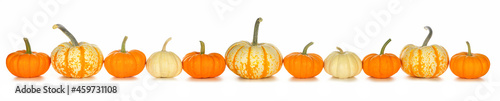 Fall border arrangement of orange, white and striped pumpkins. Side view row isolated on a white background.