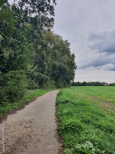 path in the field