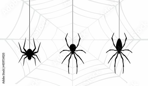 halloween spider's web vector. black spider on white background. danger insect. horror banner, scary poster. cobweb isolated decoration stock illustration. october holiday flyer mockup mock up 
