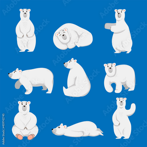 Cartoon white polar bear set. Vector illustration of cute winter Arctic animals in different poses, wild or zoo polar bear standing, sleeping on blue background. Wildlife, nature of North concept