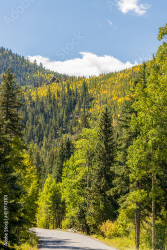 Yellow and green aspen trees on the mountainside along Guanella pass road of Colorado