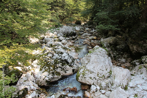 SLOVENIA - August 14, 2015: Mountain river SAVA BOHINJKA flow between stones. On the way to Savica waterfall. photo