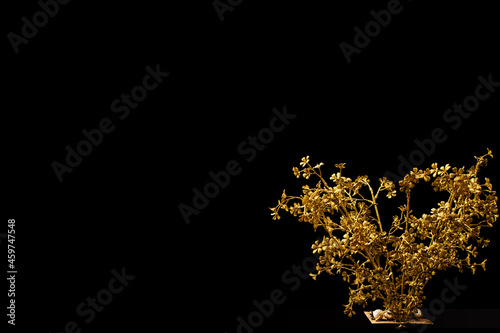 Golden petals with dark background