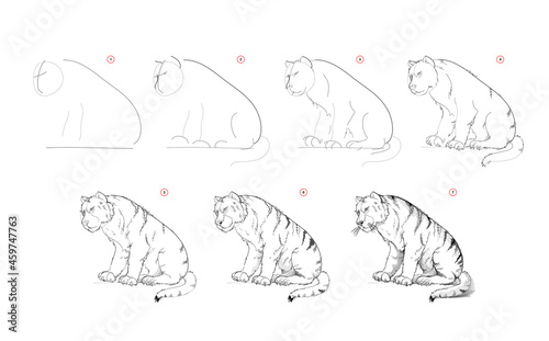 Page shows how to learn to draw sketch of cute tiger. Creation step by step pencil drawing. Educational page for artists. Textbook for developing artistic skills. Online education. Animal illustration photo