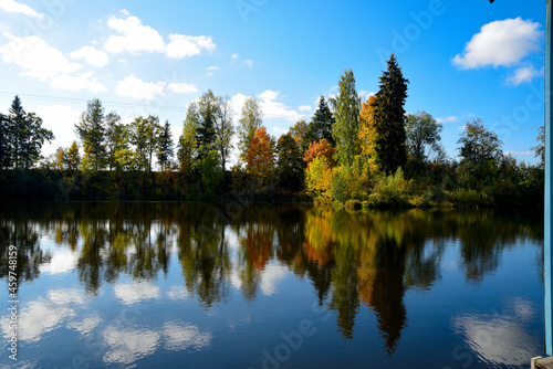 a beautiful golden autumn reflection in a lake with different colored trees and blue skies © Aivis