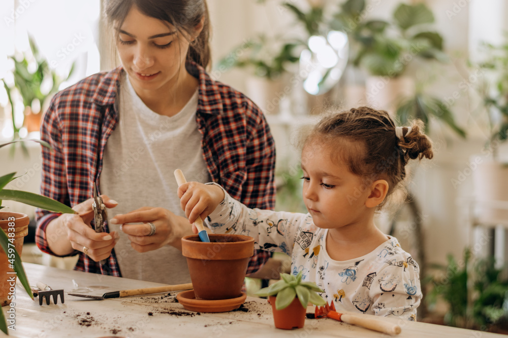 Young happy mixed race woman with a three-year-old daughter is planting houseplants at home.Home gardening.Family leisure, hobby concept.Biophilia design and urban jungle concept.